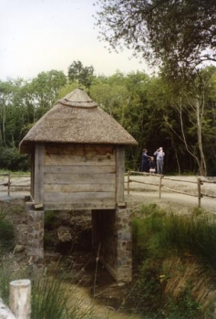 Reconstruction of a Medieval Irish horizontal watermill