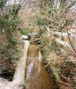 Charlestown Leat - it runs for miles from Luxulyan