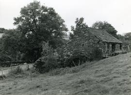 Mill, Tan -  y -  Felin