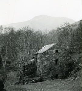 Corn Mill, Dols ham?