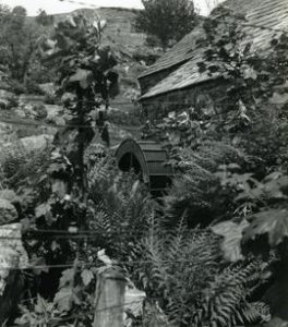 Hafod Fadog Watermill, Capel Celyn