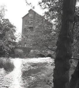 Ockham Manor Mill, Ripley