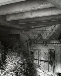 Threshing Machine of Mamhead Farm