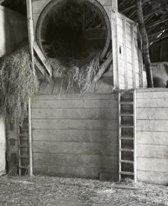 Threshing Machine, Mamhead Mill