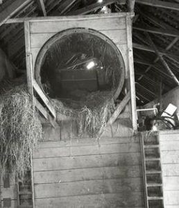 Threshing Machine, Mamhead Mill