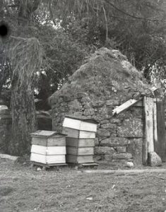 Manure House, Near Lustleigh