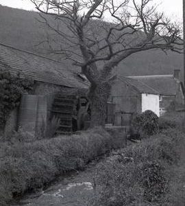 Dunsford Iron