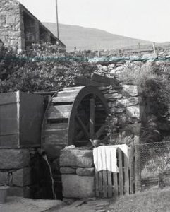 Sylfaen Mer Farm Wheel