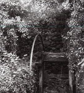 Tal y Bont Mer
