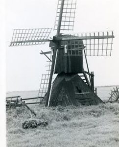 Derelict Dutch meadow mill, 1971