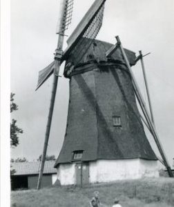 Derelict Dutch smock mill, location unknown, 1971