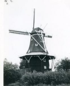 Preserved Dutch smock mill, location unknown,1971