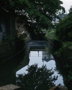 View of river