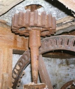Methleigh Farm - stone nut 9-96