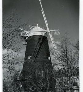 Jack. Tower Mill Clayton, Sussex.