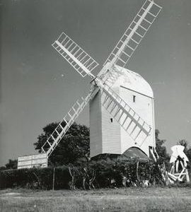 Jill Mill