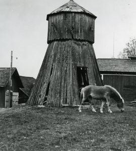 Mamsel mill with a pony in front in Laitila, Varsinais-Suomi