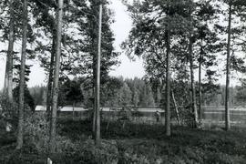 Ford in Tammela behind Salusjärvi & Kygnaiajärvi