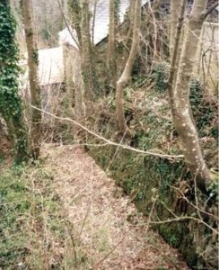 Trehannick Mill leat, St Teath