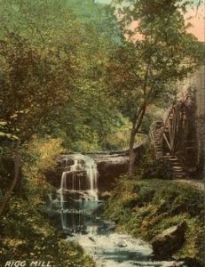 Rigg Mill
