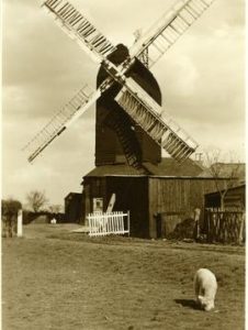Hog Hill Mill, Icklesham