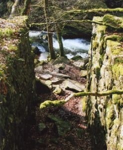 Wheal Victoria wheelpit Golitha Falls St Neot