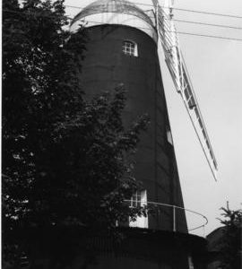 Jack Mill, Clayton, with sails