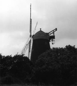 Jack Mill, Clayton, with sails