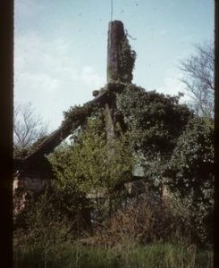 Partly overgrown trestle, Billericay Mill, Great Burstead