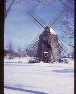 Snow scene