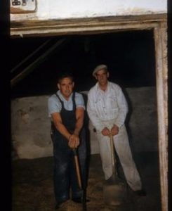 Two men with shovels working in kiln