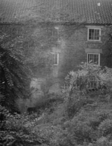 Newminster Blanket Mill, Mitford, with trees in the foreground