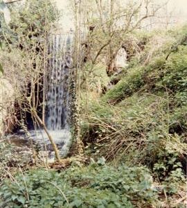 Site, Old Mill, Leeds, Maidstone