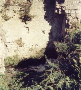 Mill race from the top, Castle Mill, Leeds, Maidstone