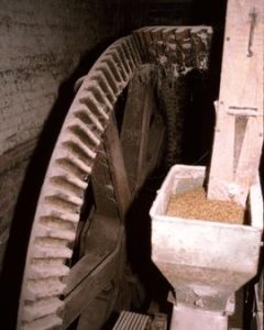 Pit wheel, Scarthing Moor Mill, Weston