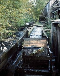 Forest Row C A Whs