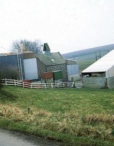 Fochel M Earlsford