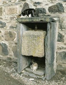 Knockenbaird press2