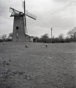 Tower mill, Arnesby