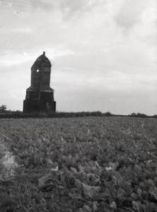 Shelford Mill, Newton