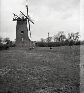 Arnesby Mill, Leicestershire