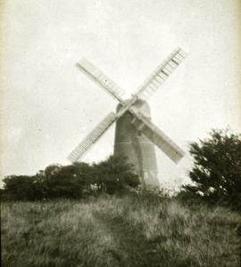 The Downs, Brighton