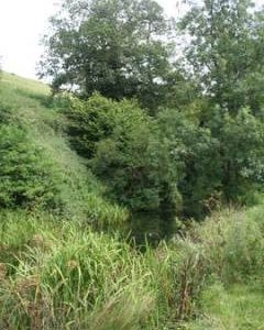 Church Farm, Corton Denham - pond