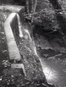 Erbistock Mill: mill stream