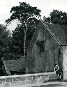 Mill at Melbourne