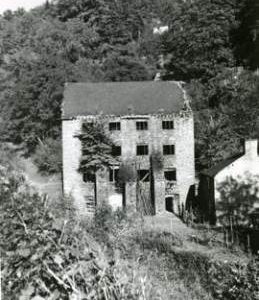 Old Factory, Montgomeryshire