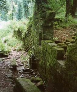 Fingle Mill