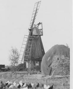 Shade Smock Mill, Soham