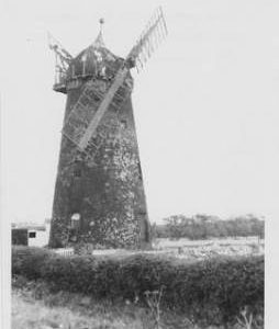 Hale Tower Mill, Swavesey