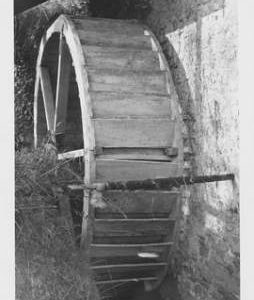 Uplyme Mill, Uplyme, wheel